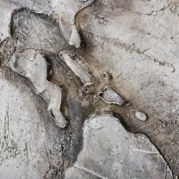 World Map Painting