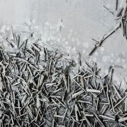 Dandelion Painting 