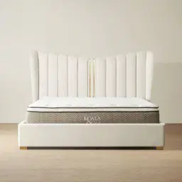 Madrid Cream Velvet Queen Bed