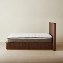 San Pierre Walnut Veneer Queen Bed