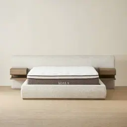 Riviera Isabelline White Fabric King Bed with Medium Brown Ash Veneer